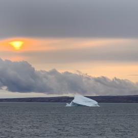 Saving the Behemoth of the Ice: The Polar Bear